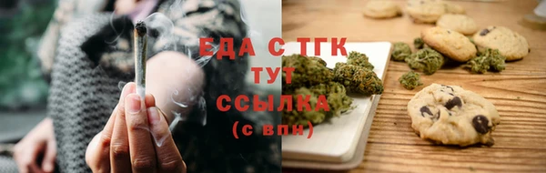 хмурый Абаза