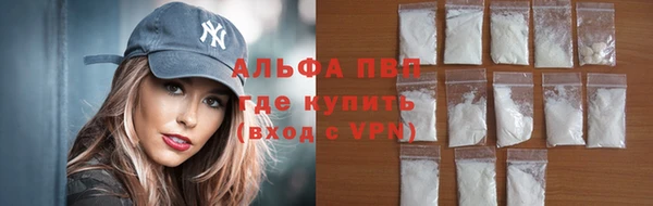 хмурый Абаза