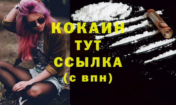 хмурый Абаза