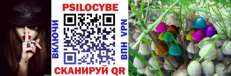Псилоцибиновые грибы GOLDEN TEACHER Севастополь